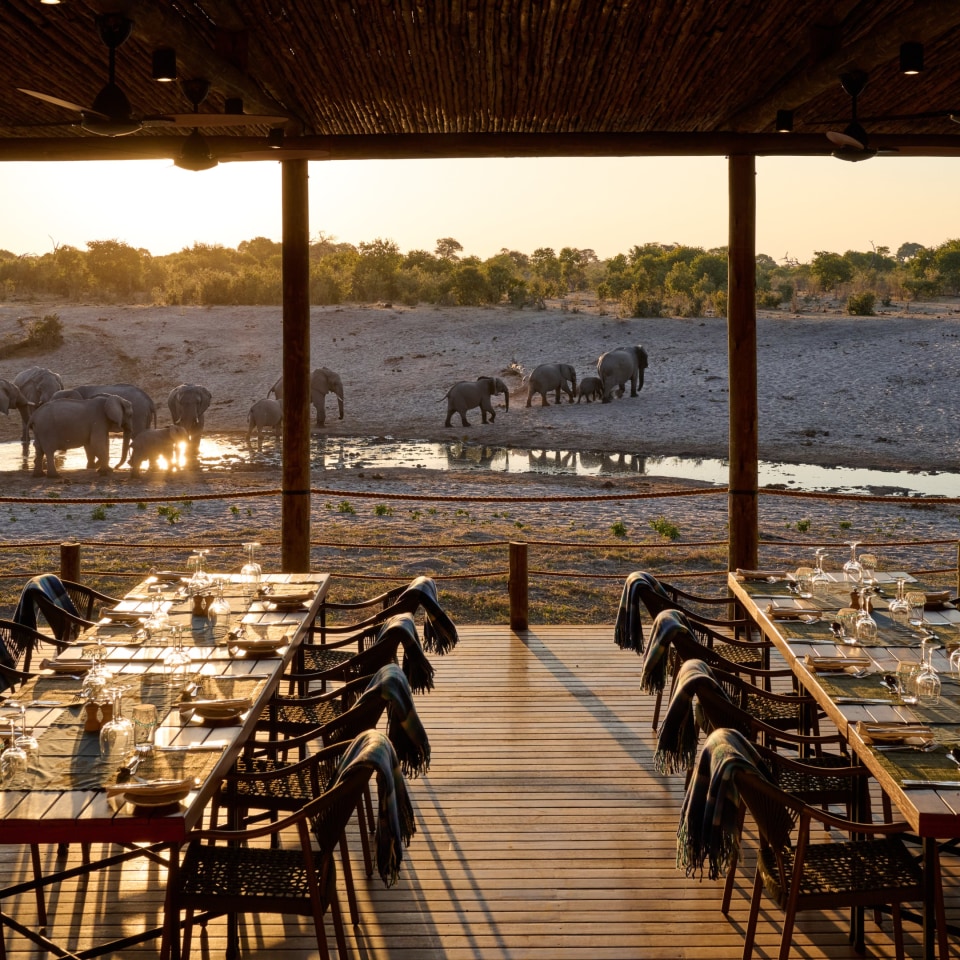 Savute Safari Lodge